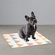 thumbnail image 5 of B Gold 2 uds almohadillas para orinar para perros, alfombrillas antideslizantes para perros con gran absorción de orina, almohadillas reutilizables para orinar para cachorros para, 5 of 5