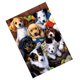 thumbnail image 1 of Pintura de Diamante 5D Borda Puntada Cruz con Patrón Animal Accesorios Decorativos de Bricolaje Soledad Punto de cruz, 1 of 10