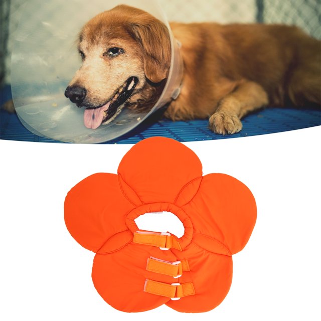 Pet Elizabethan Collar Recovery Pet Cone Breathable Foldable Pet Protective Collar For Dog Cat Recovery From Surgery