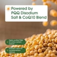 thumbnail image 2 of NatureBell PQQ with CoQ10 - 240 Capsules - 40mg Active PQQ with 10mg Coenzyme Q10 - Cellular Energy & Cognitive Function Support - Antioxidant Nutrients for Heart & Brain Health - 120 Servings, 2 of 8