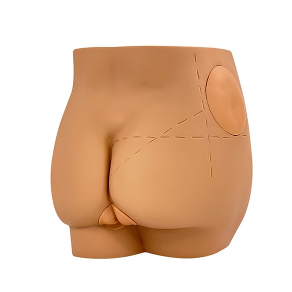 HOT! Human Hip Joint Intramuscular Injection Simulator Anatomical Model, Buttocks Care Puncture, Medical Teaching Resources