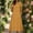 *Yellow, variant on ClodeEU Women's Crew Neck Short Sleeve Midi Dress,Basic Casual Loose Midi Dresses with Pocket Black,Womens Plus XL