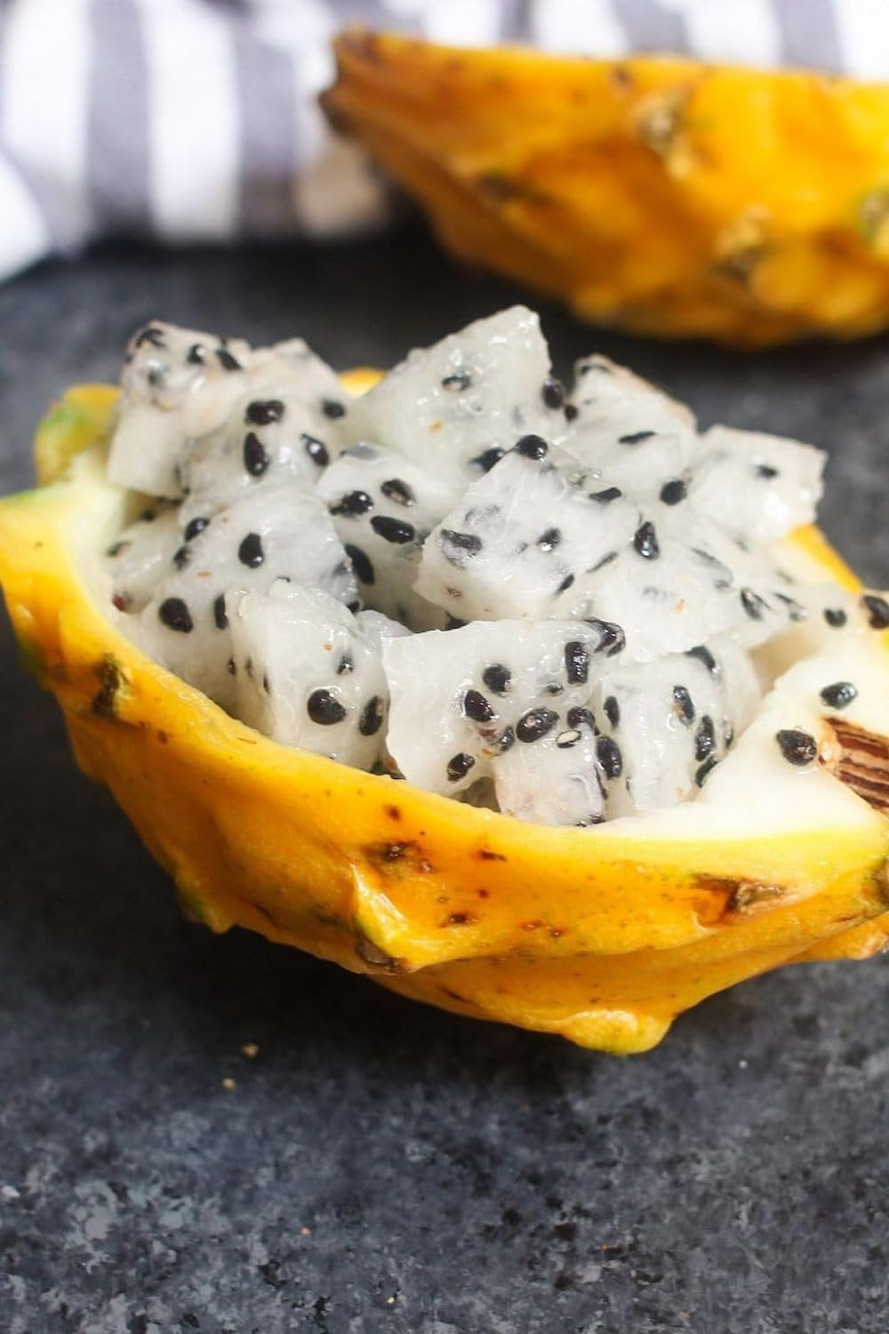 Edgar's Baby Dragon Fruit Tree - 4 Live Starter Plants - Hylocereous Undatus - Edible Tropical Fruit Plant from Florida