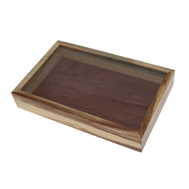EeaseMX Caja de madera para insectos, vitrina para exhibición de especímenes de insectos, herramienta educativa