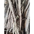 thumbnail image 4 of Perchoir Multi-Branches pour Installation Simple, Support de Perroquet en Bois Naturel avec Bonne Texture (4 Pcs), 4 of 5