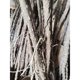 thumbnail image 4 of 4 ramas de madera de juguete para pájaros, juego de palos de pie duraderos, barras de madera con pimienta para perchas, diversión para loros, 4 of 5