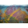 thumbnail image 2 of Sienda, Jolly 14x11 White Modern Wood Framed Museum Art Print Titled - Alaska-autumn color, 2 of 4