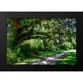 thumbnail image 2 of Hausenflock, Alan 24x17 Black Modern Framed Museum Art Print Titled - Plantation Walk, 2 of 5