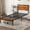 Brown, variant on Twin Size Bed Frame, Metal Bed with Headboard, 700LBS Heavy Duty Mattress Foundation with Steel Slats Support, No Box Spring Needed, Noise Free