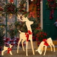thumbnail image 1 of Gymax 3-Piece Reindeer Family Set w/ LED Lights Christmas Deer Weather-resistant Decorations, 1 of 10