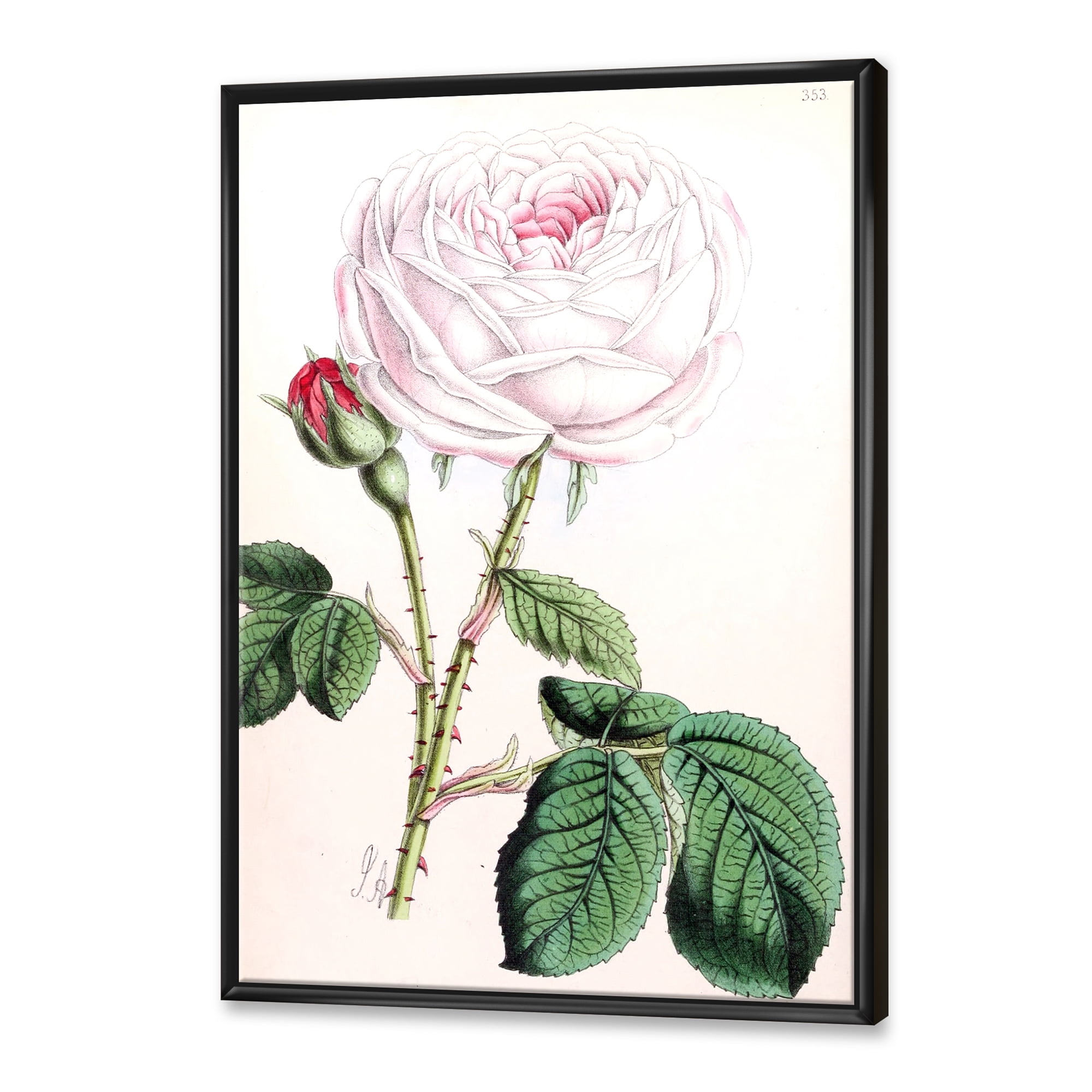 Designart 'Ancient Pink Flower' Traditional Framed Canvas Wall Art Print