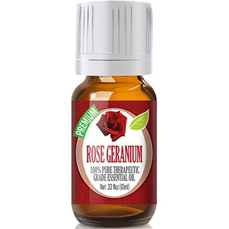 Rose Geranium - 100% Pure, Best Therapeutic Grade Essential Oil - (Best Rose Geranium Oil For Ticks)