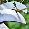 thumbnail image 4 of ZHOSXRC High Altitude Pruning Shear, Extendable Tree Pruner Saw Head Without Pole,Outdoor High-Altitude Branches Trimmer Pruning Shears with Rope Fruit Tree Pruning Cutter for Cutting Branches, 4 of 8