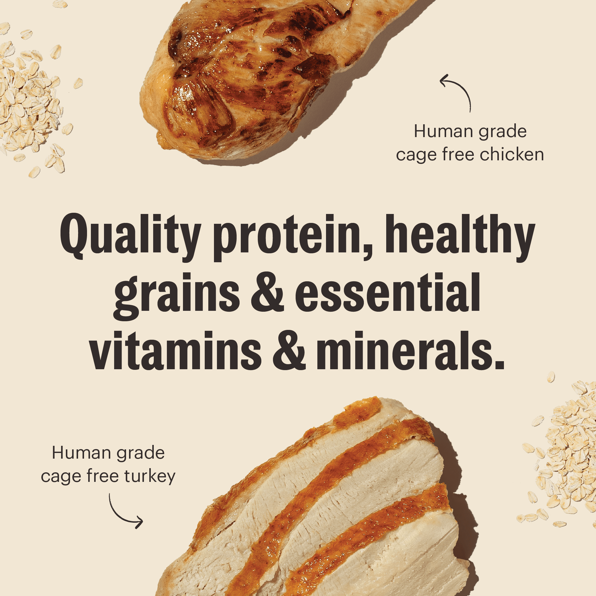 The Honest Kitchen Human Grade Essential Clusters Dry Dog Food Whole Grain Turkey & Chicken Dry Dog Food 5 lb Bag