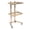Gold, variant on 2 Tier Cart Rolling Trolley Beauty Salon Storage Cart Holder Stand Gold