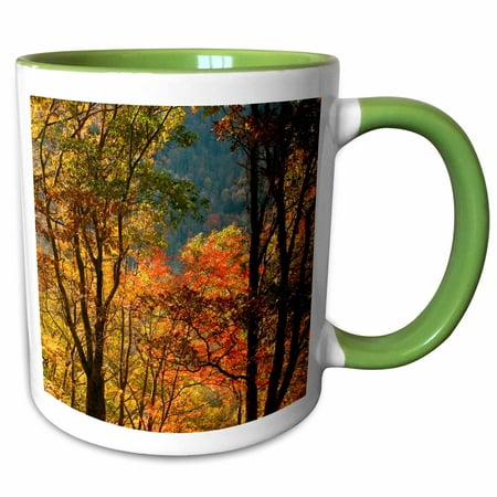 3dRose USA, Tennessee. Fall foliage in the Smoky Mountains. - Two Tone Green Mug,