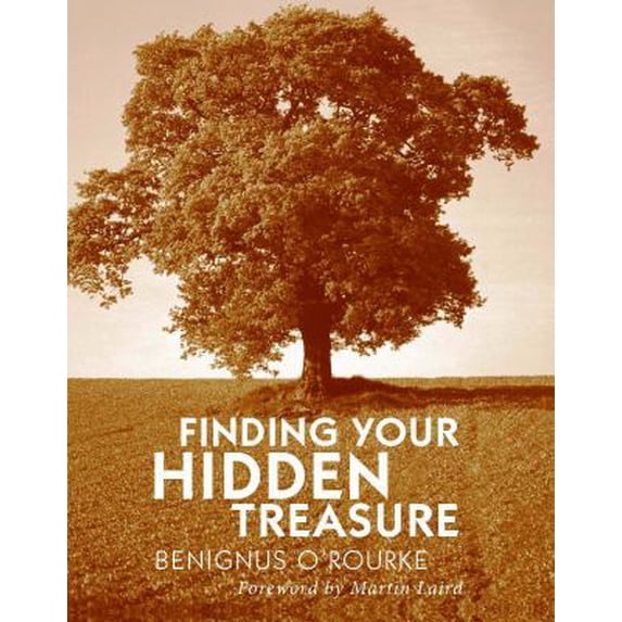 Pre-Owned Finding Your Hidden Treasure: The Way of Silent Prayer (Paperback) 0232528071 9780232528077