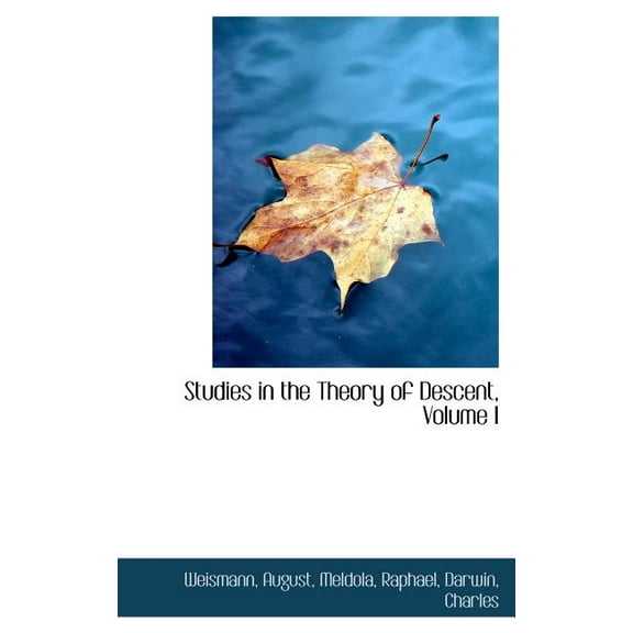 Studies in the Theory of Descent, Volume I (Hardcover)