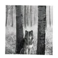 thumbnail image 1 of DOLITY Rideaux Occultants pour Animaux 2 Panneaux pour Tringle/piste - Loup Gris Loup, 1 of 7
