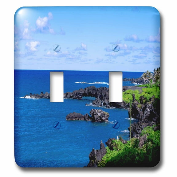 3dRose, The Beautiful Maui Coast, double toggle switch