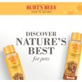 thumbnail image 4 of Burt's Bees Shed Control Dog Shampoo + Omega-3 & Vitamin E, 16 oz., 4 of 9