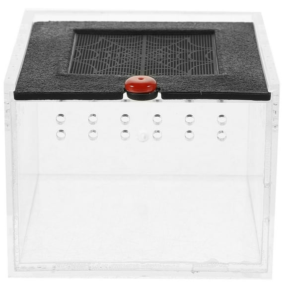 Toyvian Clear Viewing Acrylic Reptile Terrarium with Airflow Vents for Feeding and Display