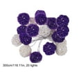 thumbnail image 3 of LmnLft LED Rattan Ball Decorative String Lights, 9.84Ft 20-Light USB Fairy Lights for Bedroom, Wedding, or Christmas Decoration, Warm White Handmade Woven Globe Design, 3 of 8