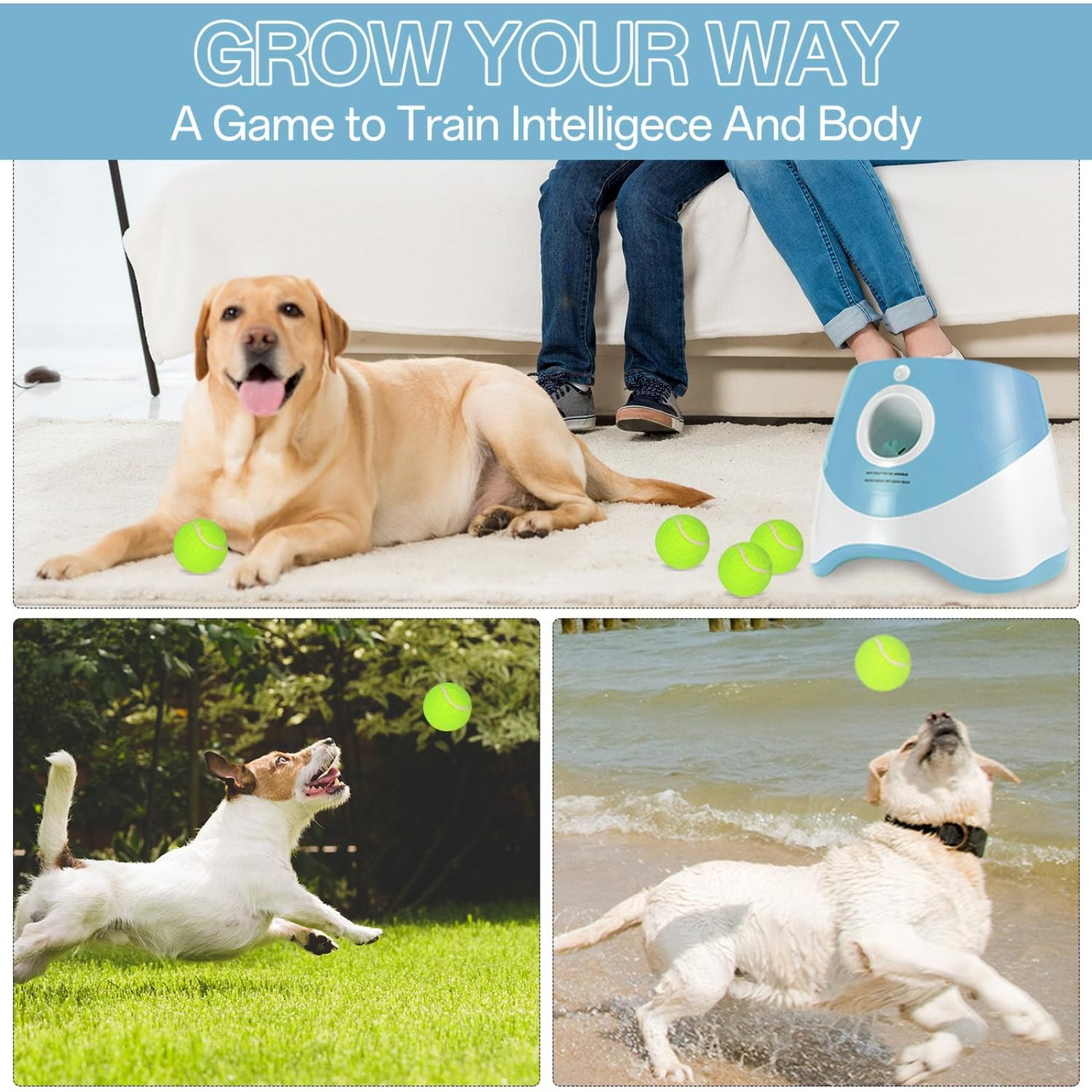 SQDWYGUO Automatic Dog Ball Thrower Launcher with 12 PCS Tennis Balls,Thrower Distance 10-30ft, Interactive Dog Fetch Machine Toy for Small Dogs,Blue
