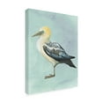 thumbnail image 2 of Trademark Fine Art 'Watercolor Beach Bird III' Canvas Art by Grace Popp, 2 of 3