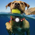 thumbnail image 3 of ZZHZGZ Sale Items on Clearance Cat and Finder Locator Alarm Key Loss Alarm Silicone Cat and Android Locator Location Tracking Collar Suitable for Any Collar Worldwide, 3 of 5