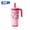 Pink Bow Berries, variant on Reduce Chiller Kids 18oz Handled Tumbler with Spill-Proof Straw & Handle. Insulated Stainless Steel, Speed Race