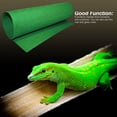 thumbnail image 4 of POINTERTECK Reptile Carpet 1 Pc - Terrarium Bedding Substrate Liner | with Strong Water Absorption 15.75‘‘-39.37‘‘ for Lizard Tortoise Snake, 4 of 6
