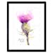 thumbnail image 3 of Wee Blue Coo Scottish Thistle Flower Head Watercolour Scotland Framed Art Print, 3 of 10