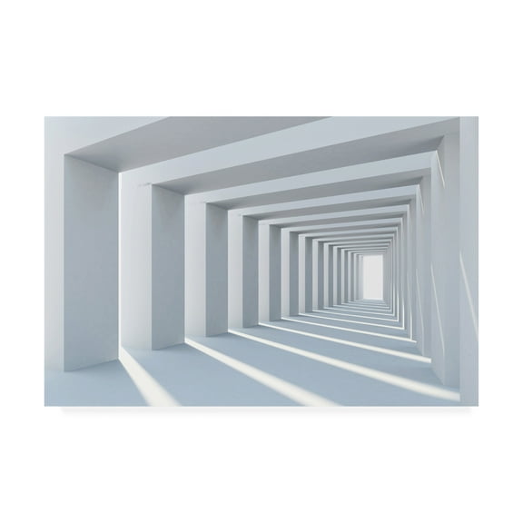 Trademark Fine Art 'Cube Hall' Canvas Art by PhotoINC Studio