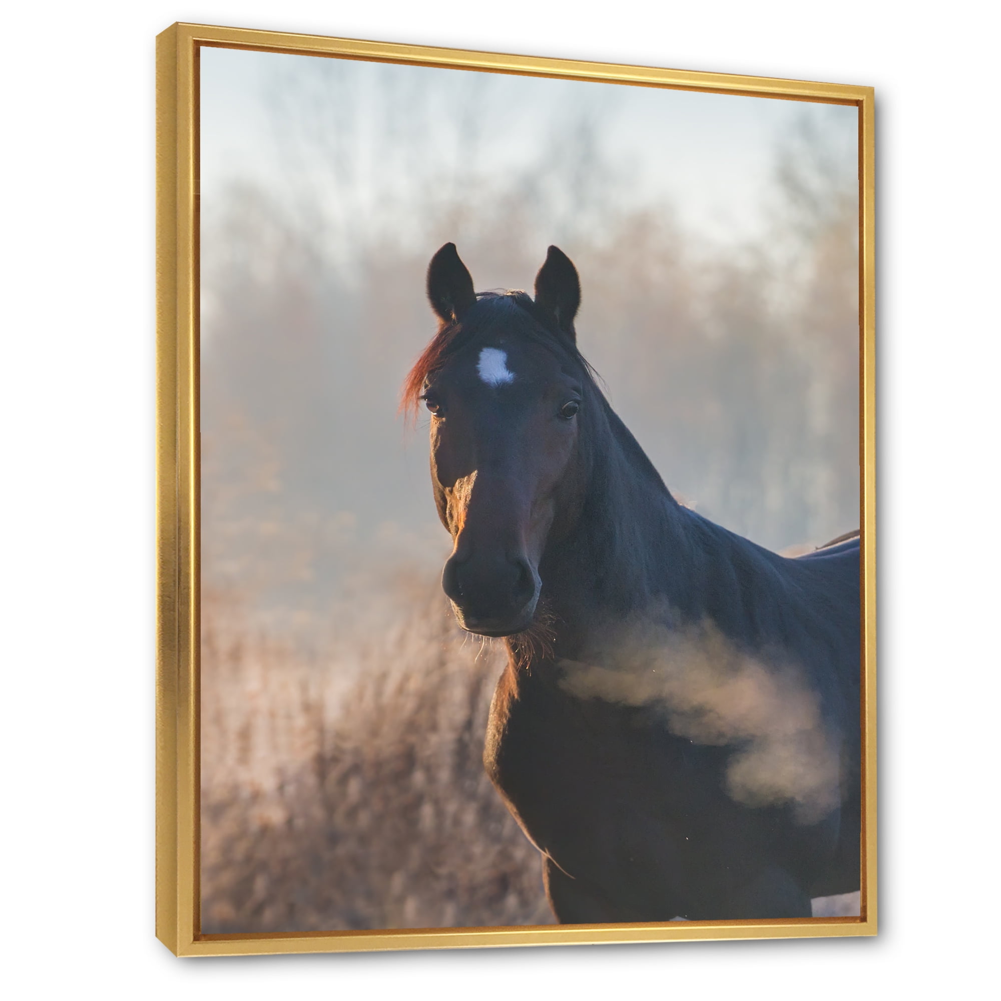 Designart 'Close Up Portrait Of A Horse On An Autumn Morning' Farmhouse Framed Canvas Wall Art Print