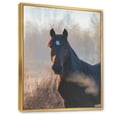 thumbnail image 3 of Designart 'Close Up Portrait Of A Horse On An Autumn Morning' Farmhouse Framed Canvas Wall Art Print, 3 of 5