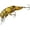 Natural Tan, variant on Rebel Teeny Wee Craw Fishing Lure Hard bait Natural Tan 1 1/2 in 1/10 oz