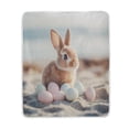 thumbnail image 2 of 60x80 inch Crystal Fleece & Arctic Fleece Blanket Soft Bed Throws for Home or Camping Easter Bunny with Eggs, 2 of 7