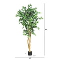 thumbnail image 2 of HomeStock 5Ft. Boldly Bohemian Tree, 2 of 8