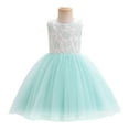 thumbnail image 2 of KYAIGUO Baby Girls' Princess Tulle Dress Embroidery Flower Girl Sleeveless Dresses Wedding Bridesmaid Birthday Party Gown 6M-12Y, 2 of 8