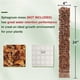 thumbnail image 5 of Moss Pole for Plants Plant Support Poles Indoor Potted Plant Sticks Support Train Creepers Plants to Grow Upward, 5 of 5