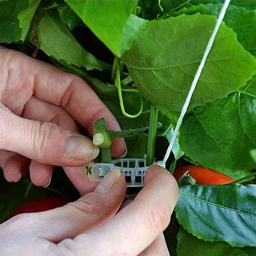 Mobestech 2-Pack White Plastic Tomato Stakes with Trellis Hooks, Garden Supports for Greenhouse and Outdoor Plants