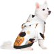 thumbnail image 2 of Fotbe Autumn Gnomes Sudadera con Estampado para Perros Pequeños – Suéter con Capucha para Mascotas, Tela Suave de Forro Polar con Bolsillo-Small, 2 of 7