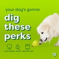 thumbnail image 5 of Benebone Essentials Pawbler, 5 of 8