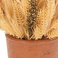 thumbnail image 4 of SAFAVIEH Faux 14 Inch Wheat Eat Potted Arrangement, Multi, 4 of 5