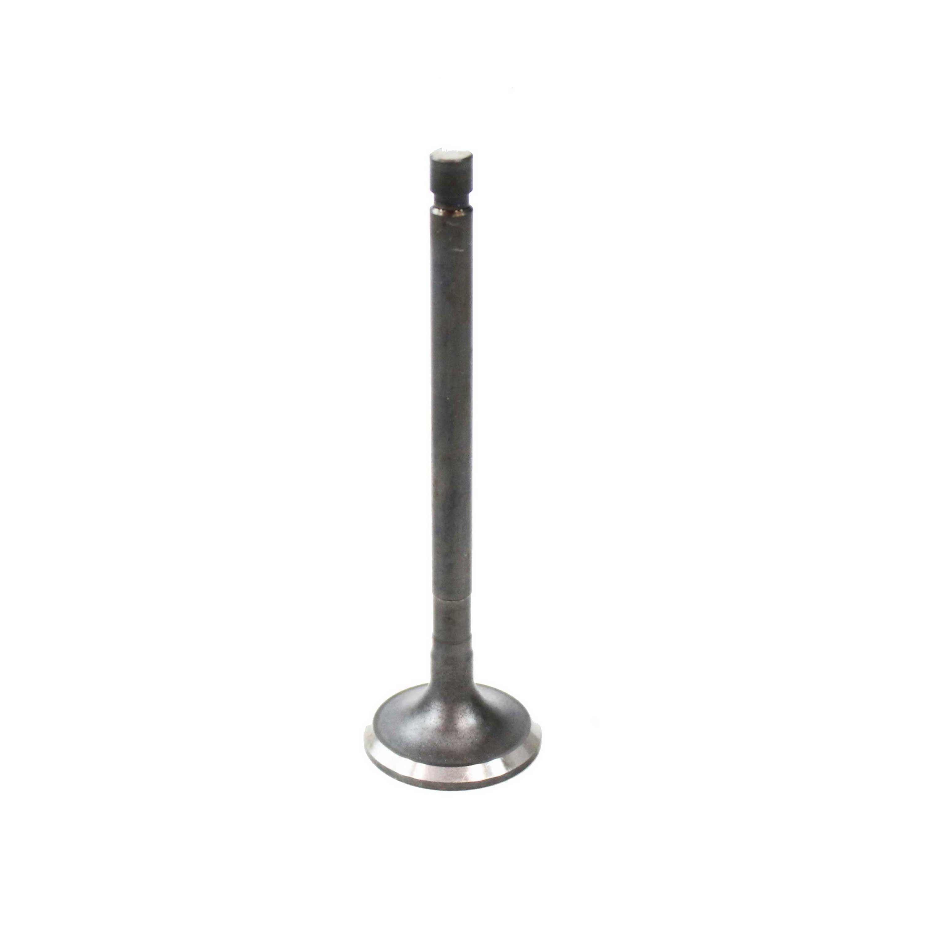 DNJ EV922 Exhaust Valve Fits Cars & Trucks 01-15 Lexus Pontiac Camry Corolla 2.0L L4 DOHC 16v