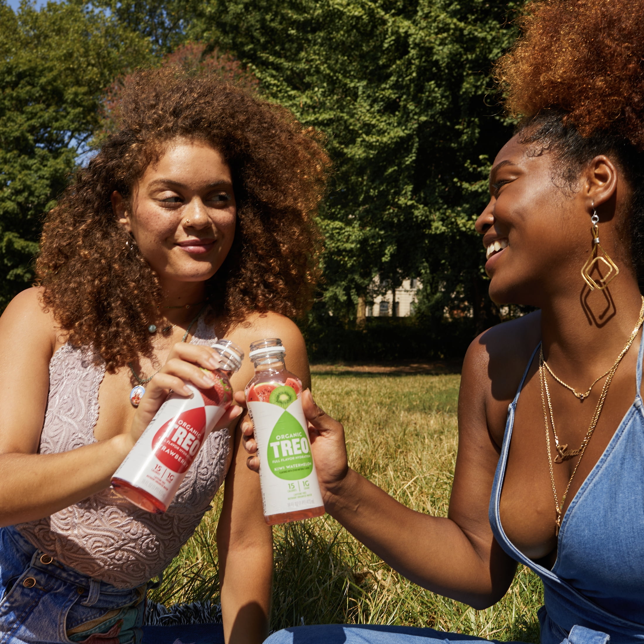 Treo Raspberry Lemonade Flavored-Infused Bottled Birch Water, 16 oz