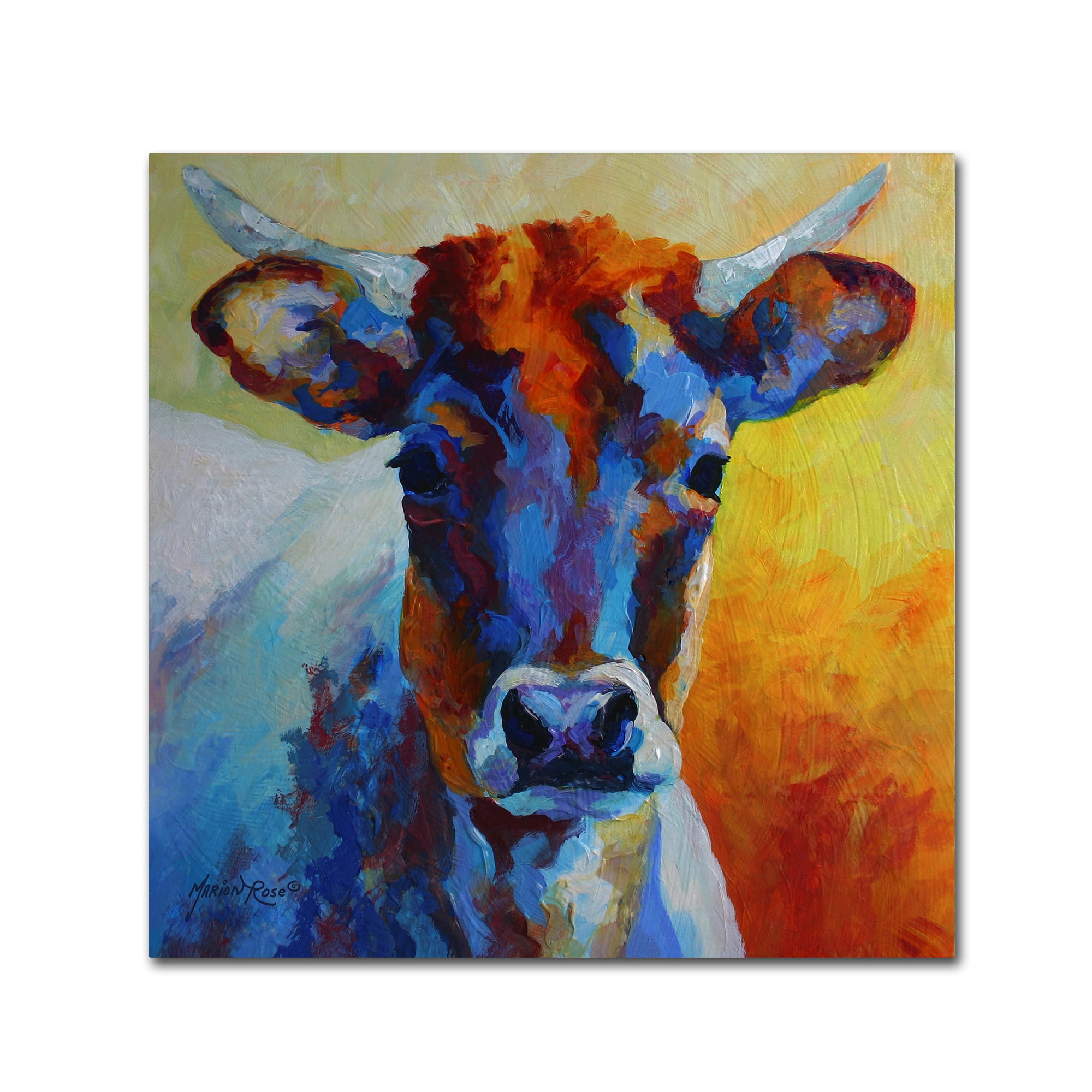 Trademark Fine Art 'Bison Bull 1' Canvas Art by Marion Rose 