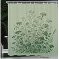 thumbnail image 4 of Ambesonne Sage Green Shower Curtain, Botanical Wildfloral Art, 69"Wx70"L, Pale Teal Emerald, 4 of 4