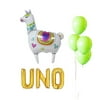 Qinsly UNO Cactus Llama Fiesta Mexican Themed Banner Multi-color Balloons, 10 Count